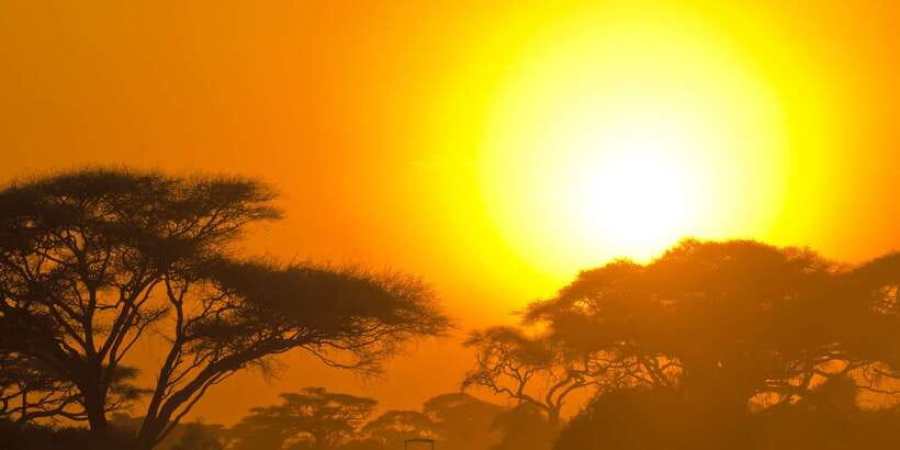 Yala National Park: Morning or Afternoon Golden Hour Safari - Lunch and supplies: what you should bring for comfort and photos