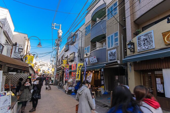 Yanaka Walking Tour: Historic and Traditional District of Tokyo - Key points worth knowing