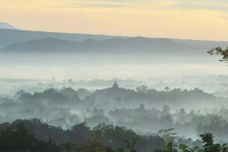 Yogyakarta: Borobudur Sunrise (Climb-up Assured) & Prambanan - Borobudur guided time: history, but also how to enjoy it