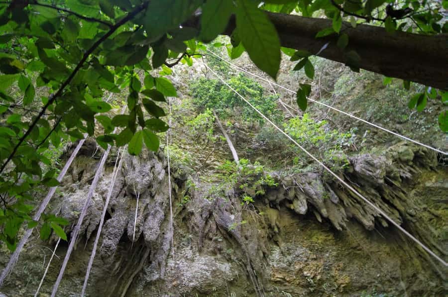 Yogyakarta: Jomblang Cave and Pindul Cave all inclusive Trip - Key things to know before you go