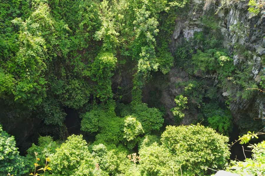 Yogyakarta: Jomblang Cave and Pindul Cave all inclusive Trip - How guides and drivers shape the whole day